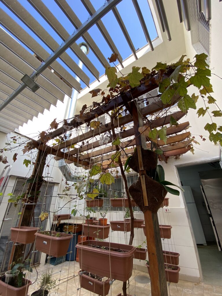 Jardim Suspenso
